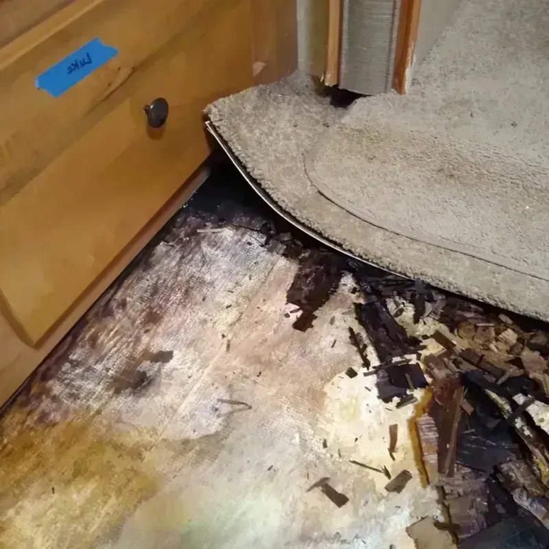 Wood Floor Water Damage in Richwood, NJ